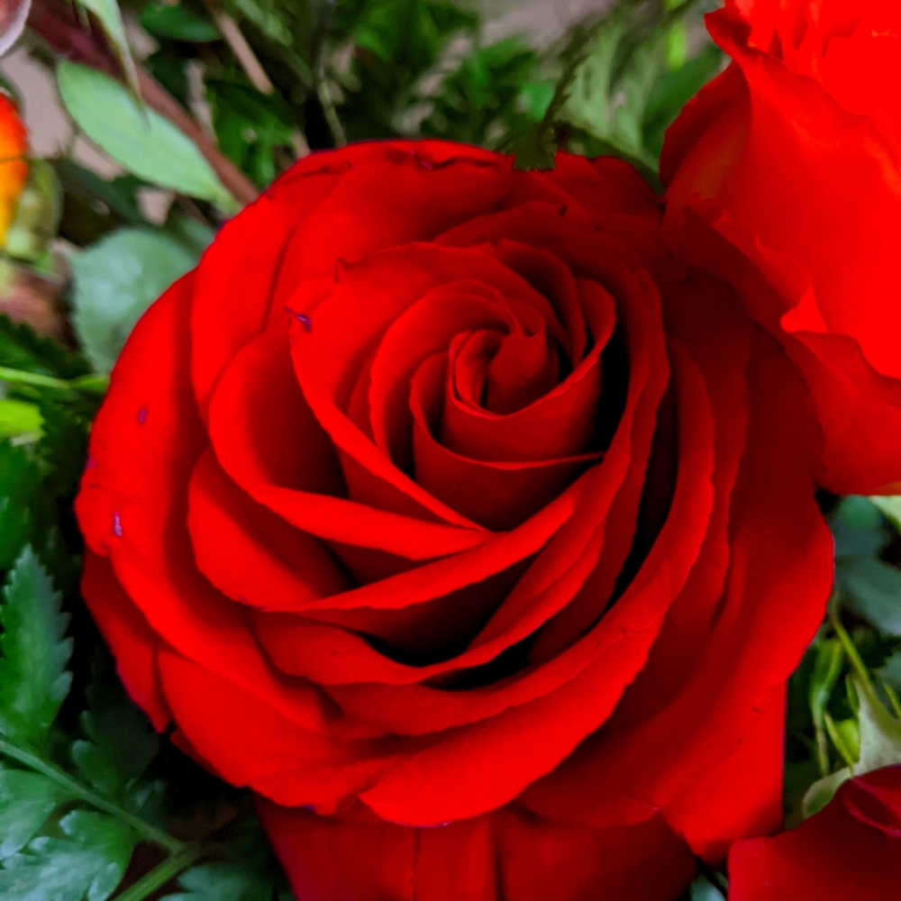 Meet your Posher, Clare